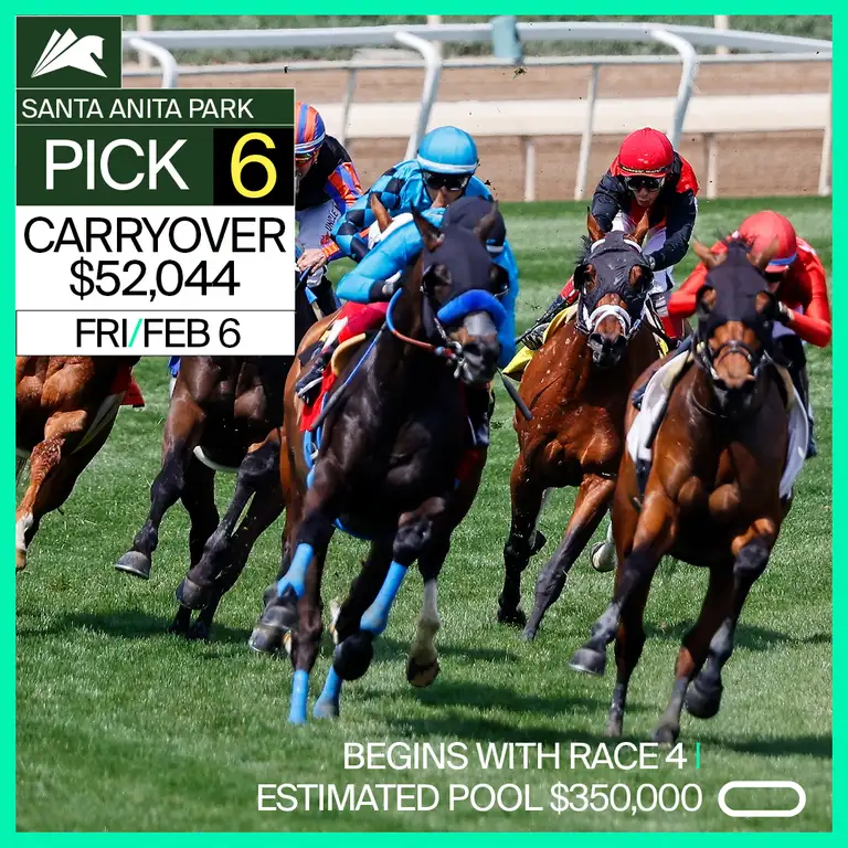 PICK 6 CARRYOVER $52,044! BEGINS WITH RACE 4 ON FEBRUARY 6! POOL ESTIMATED TO EXCEED $350,000.
