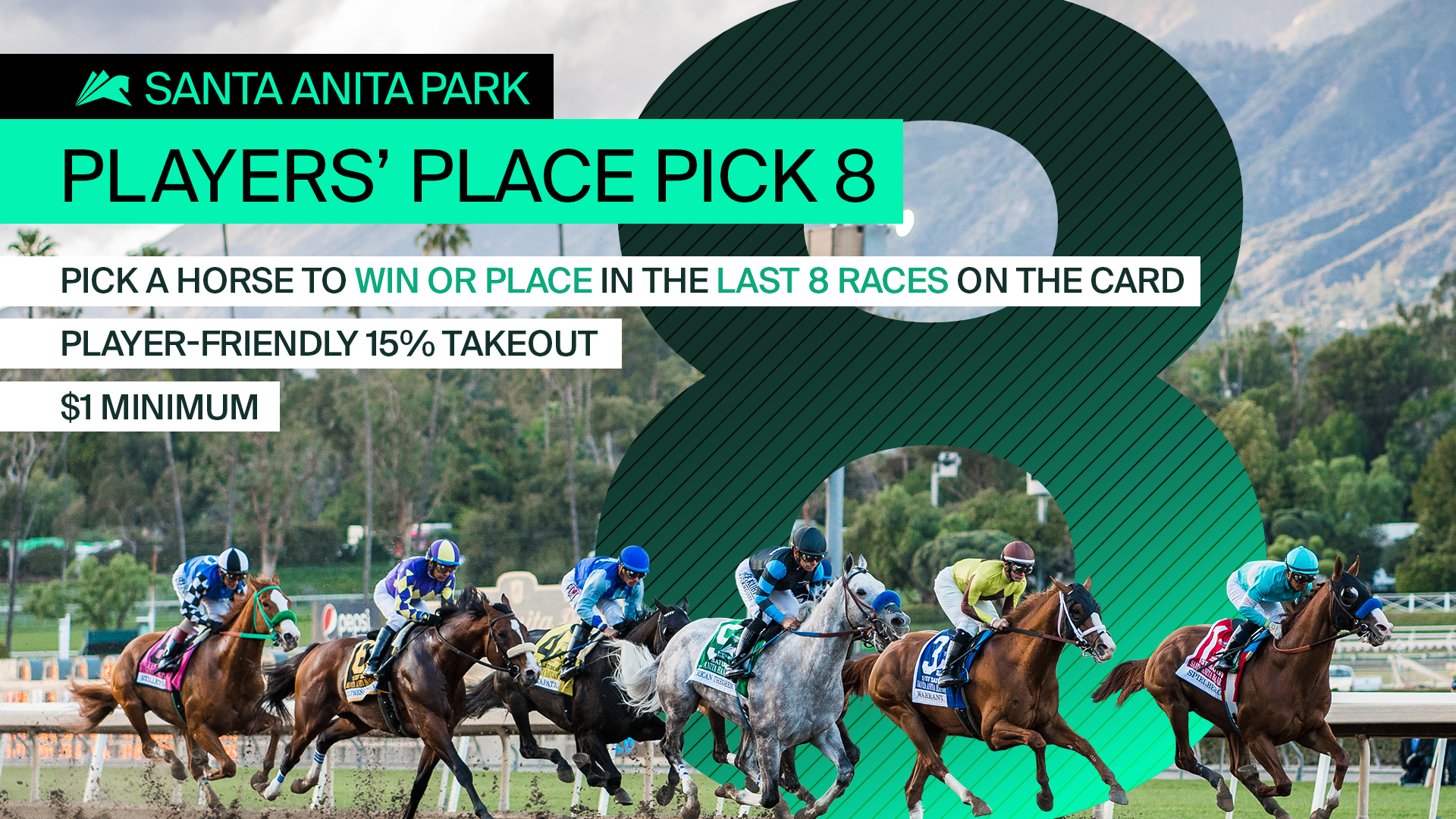 PLAY THE NEW PLAYERS' PLACE PICK 8